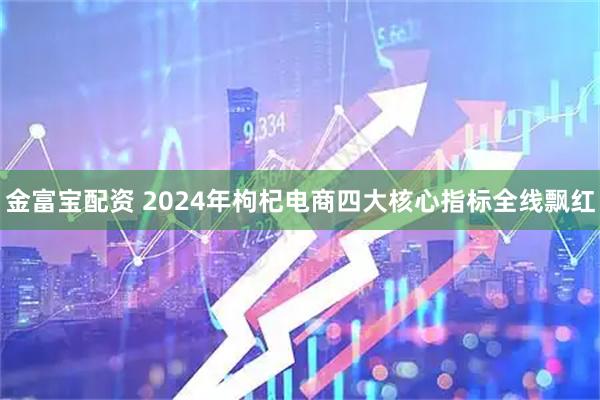 金富宝配资 2024年枸杞电商四大核心指标全线飘红