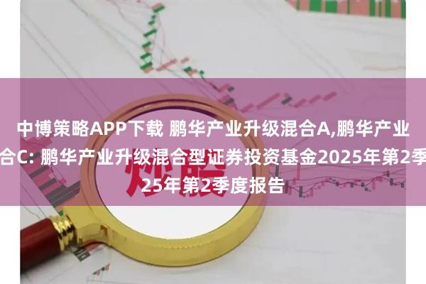 中博策略APP下载 鹏华产业升级混合A,鹏华产业升级混合C: 鹏华产业升级混合型证券投资基金2025年第2季度报告