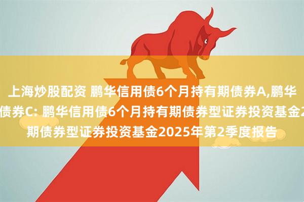 上海炒股配资 鹏华信用债6个月持有期债券A,鹏华信用债6个月持有期债券C: 鹏华信用债6个月持有期债券型证券投资基金2025年第2季度报告