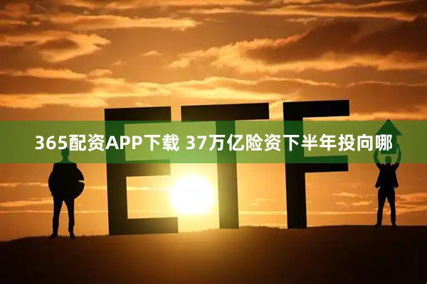 365配资APP下载 37万亿险资下半年投向哪